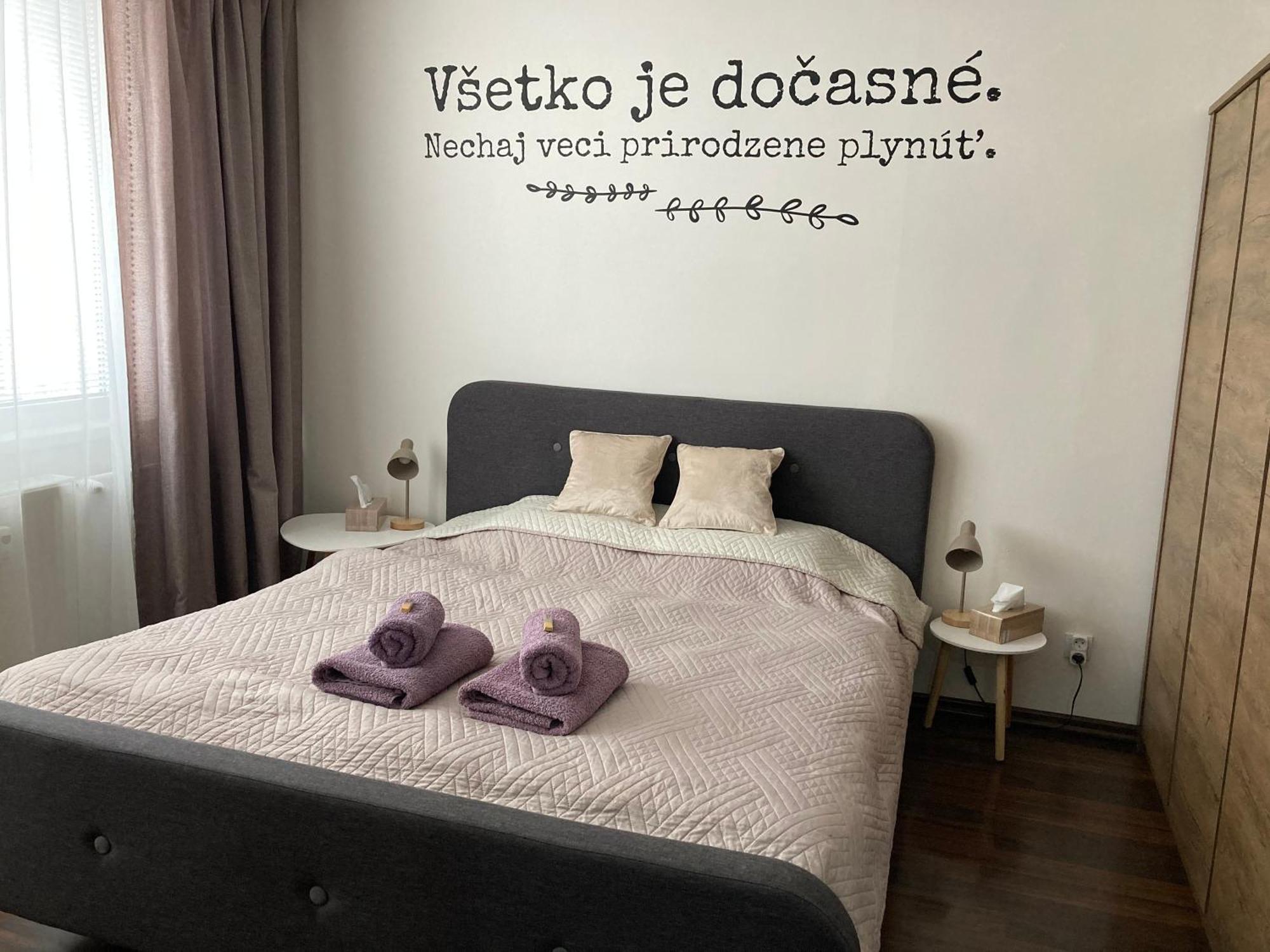 Apartman Zemplin 米哈洛夫采 外观 照片