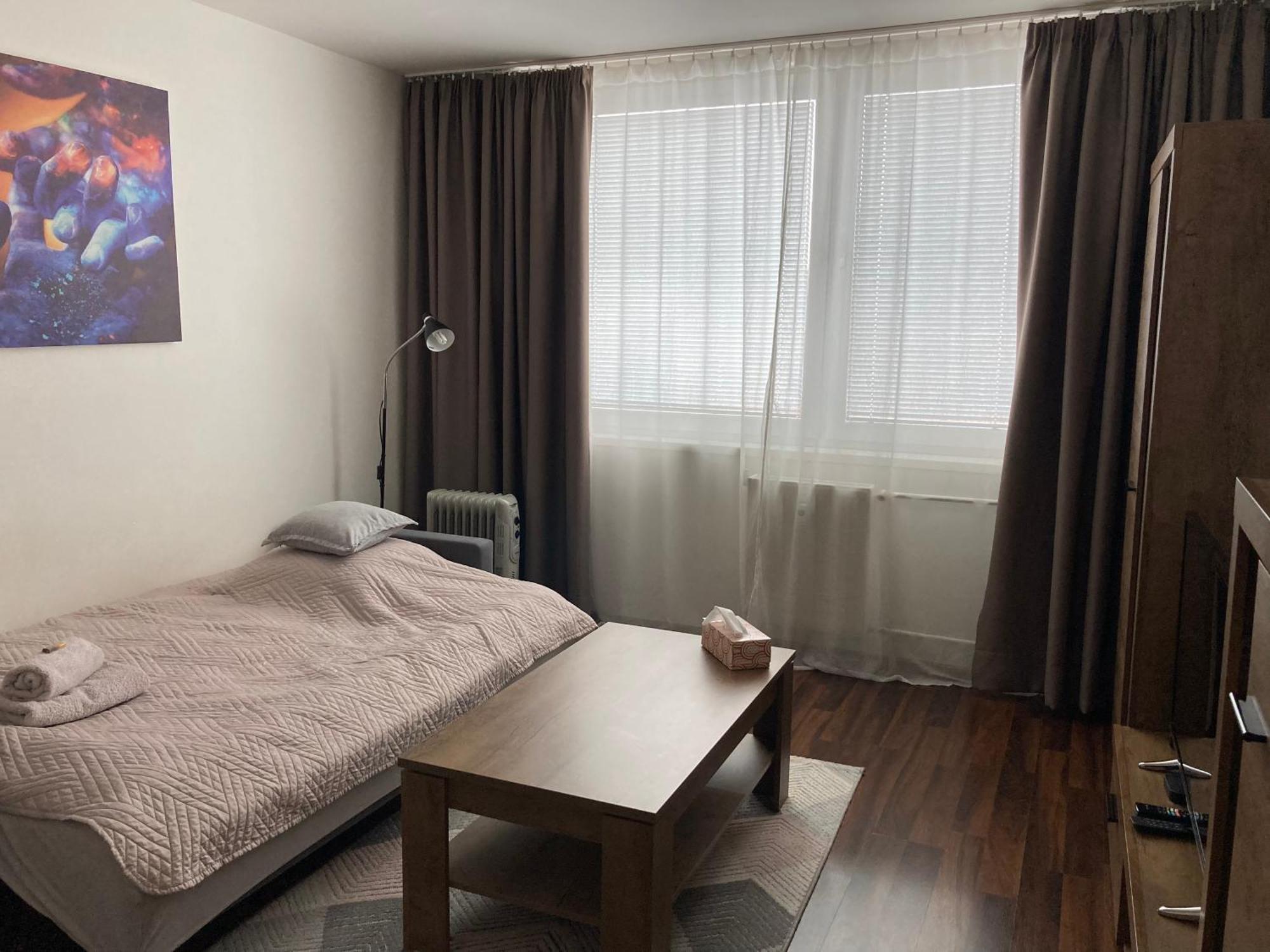 Apartman Zemplin 米哈洛夫采 外观 照片