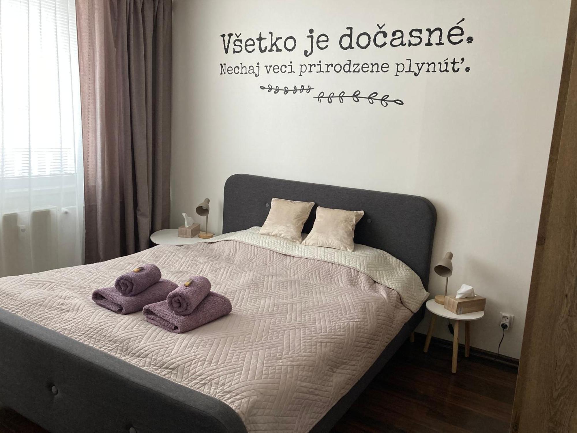 Apartman Zemplin 米哈洛夫采 外观 照片